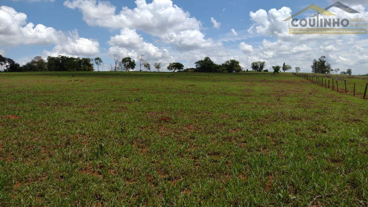 WhatsApp Image 2023-02-16 at 13.20.19.jpeg